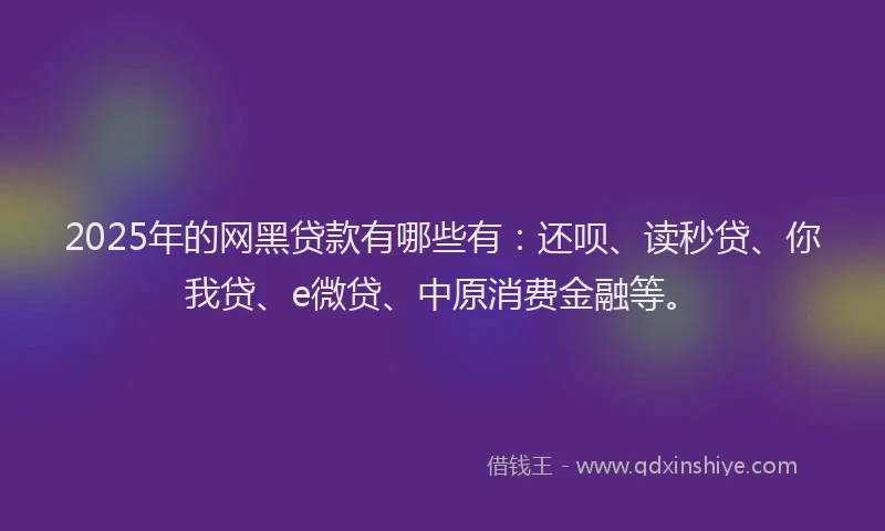 2025年的网黑贷款有哪些有：还呗、读秒贷、你我贷、e微贷、中原消费金融等。