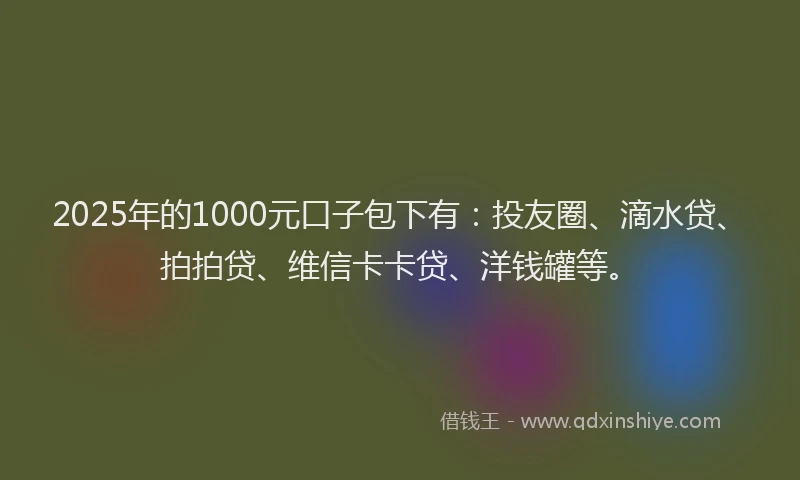 2025年的1000元口子包下有：投友圈、滴水贷、拍拍贷、维信卡卡贷、洋钱罐等。