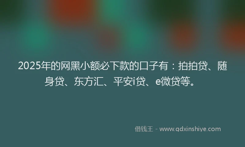 2025年的网黑小额必下款的口子有：拍拍贷、随身贷、东方汇、平安i贷、e微贷等。