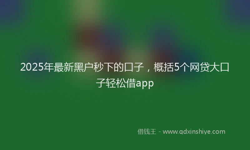 2025年最新黑户秒下的口子，概括5个网贷大口子轻松借app