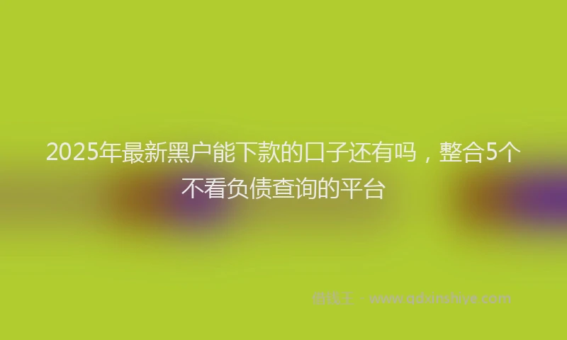 2025年最新黑户能下款的口子还有吗，整合5个不看负债查询的平台