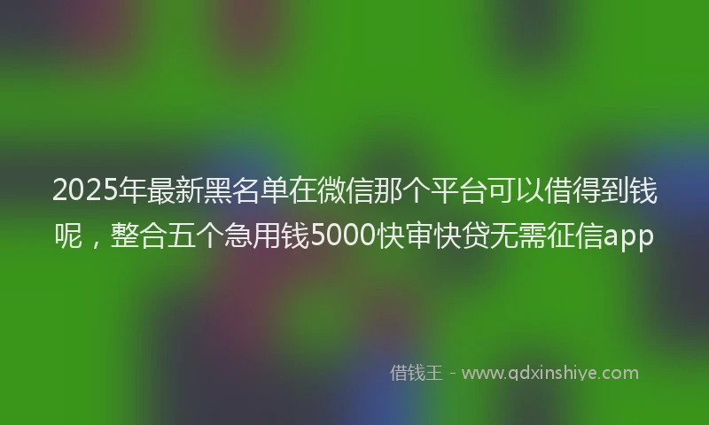 2025年最新黑名单在微信那个平台可以借得到钱呢，整合五个急用钱5000快审快贷无需征信app
