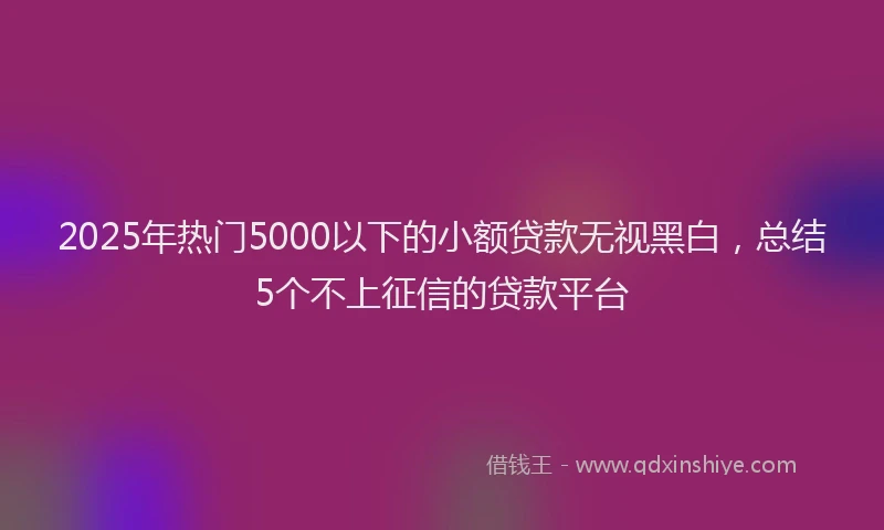 2025年热门5000以下的小额贷款无视黑白，总结5个不上征信的贷款平台