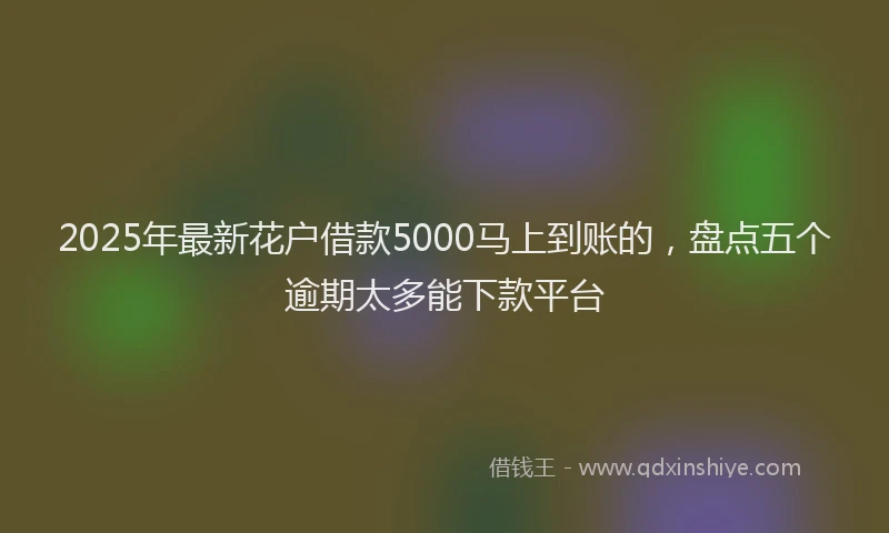 2025年最新花户借款5000马上到账的，盘点五个逾期太多能下款平台
