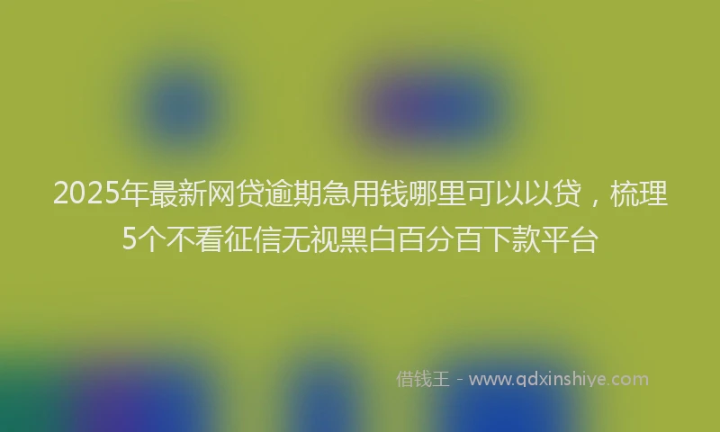 2025年最新网贷逾期急用钱哪里可以以贷，梳理5个不看征信无视黑白百分百下款平台