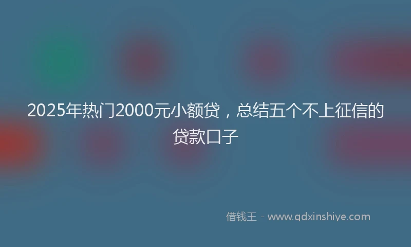 2025年热门2000元小额贷，总结五个不上征信的贷款口子