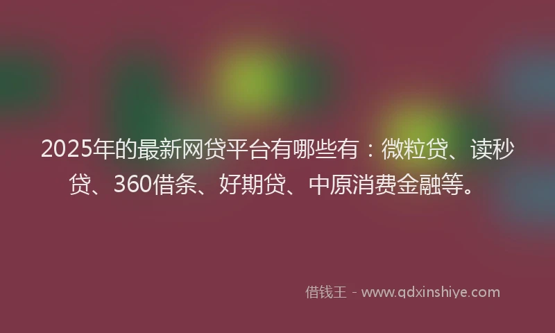 2025年的最新网贷平台有哪些有：微粒贷、读秒贷、360借条、好期贷、中原消费金融等。