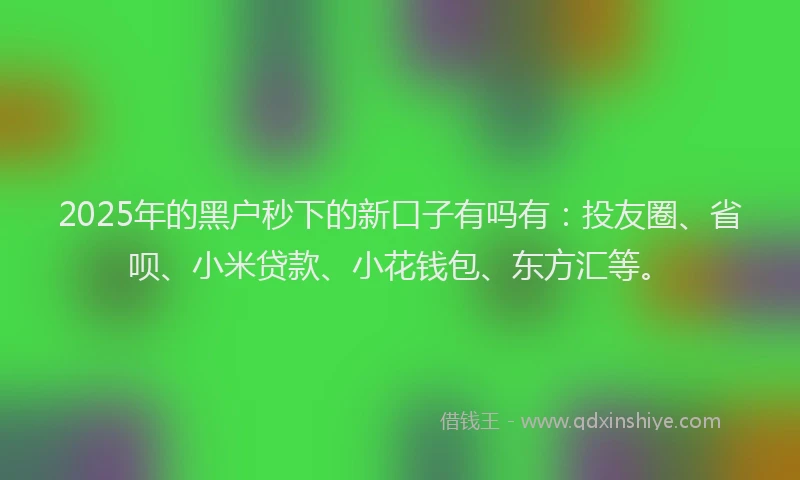 2025年的黑户秒下的新口子有吗有：投友圈、省呗、小米贷款、小花钱包、东方汇等。