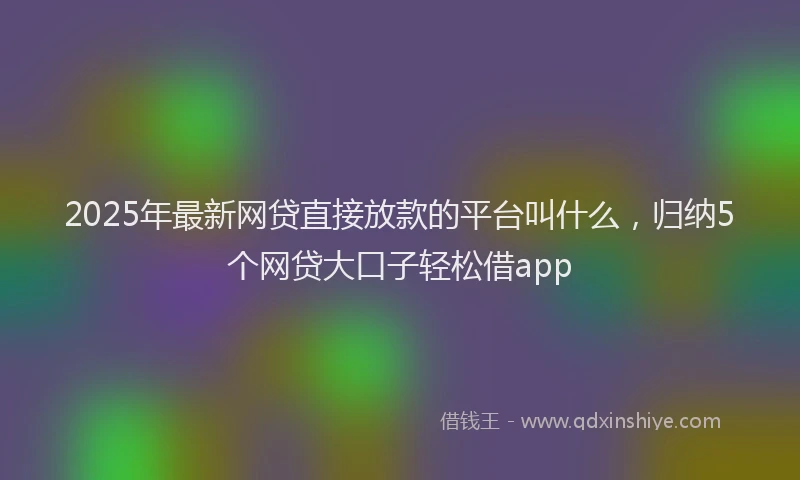 2025年最新网贷直接放款的平台叫什么，归纳5个网贷大口子轻松借app