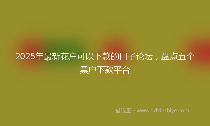2025年最新花户可以下款的口子论坛，盘点五个黑户下款平台