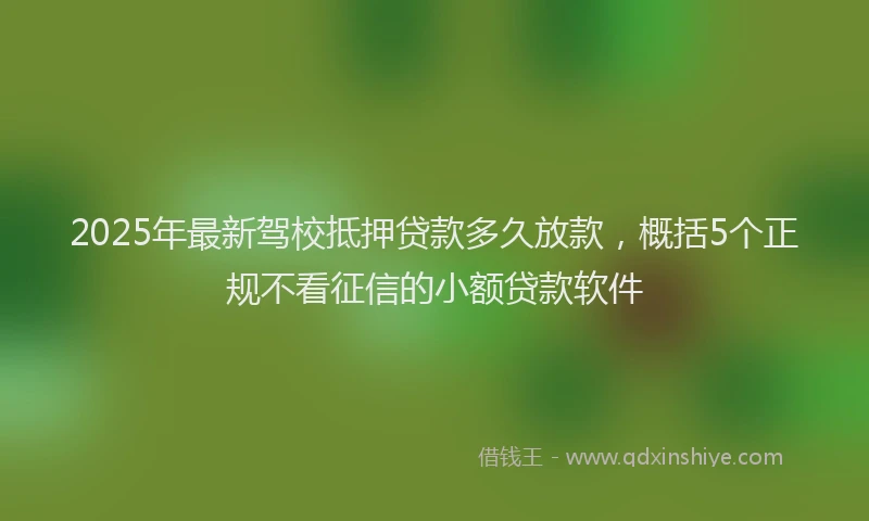 2025年最新驾校抵押贷款多久放款，概括5个正规不看征信的小额贷款软件