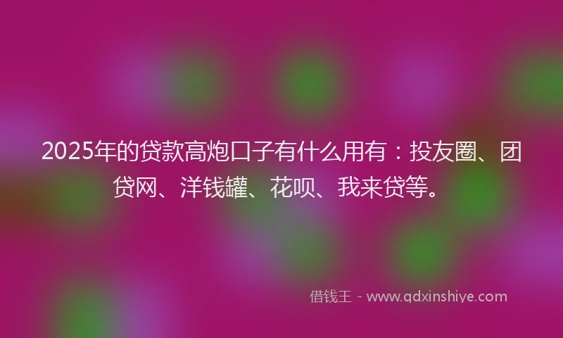 2025年的贷款高炮口子有什么用有：投友圈、团贷网、洋钱罐、花呗、我来贷等。