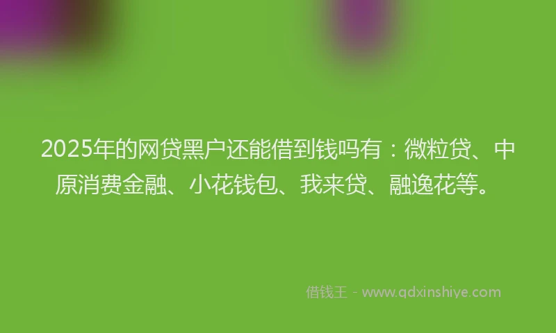 2025年的网贷黑户还能借到钱吗有：微粒贷、中原消费金融、小花钱包、我来贷、融逸花等。