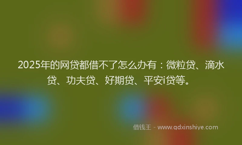 2025年的网贷都借不了怎么办有：微粒贷、滴水贷、功夫贷、好期贷、平安i贷等。
