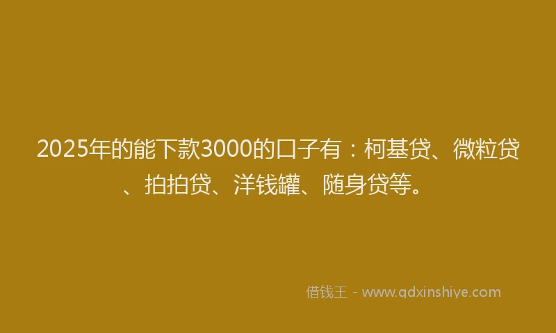 2025年的能下款3000的口子有：柯基贷、微粒贷、拍拍贷、洋钱罐、随身贷等。