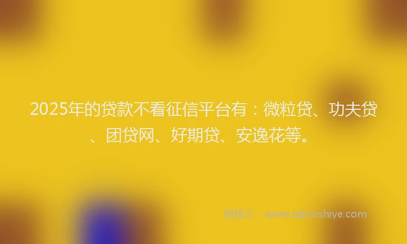 2025年的贷款不看征信平台有：微粒贷、功夫贷、团贷网、好期贷、安逸花等。