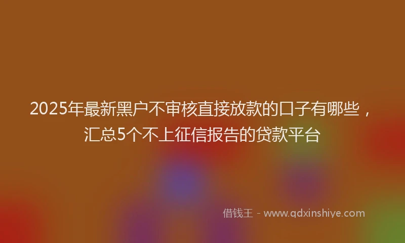 2025年最新黑户不审核直接放款的口子有哪些，汇总5个不上征信报告的贷款平台
