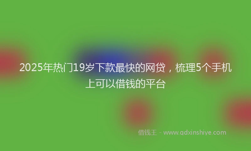 2025年热门19岁下款最快的网贷，梳理5个手机上可以借钱的平台