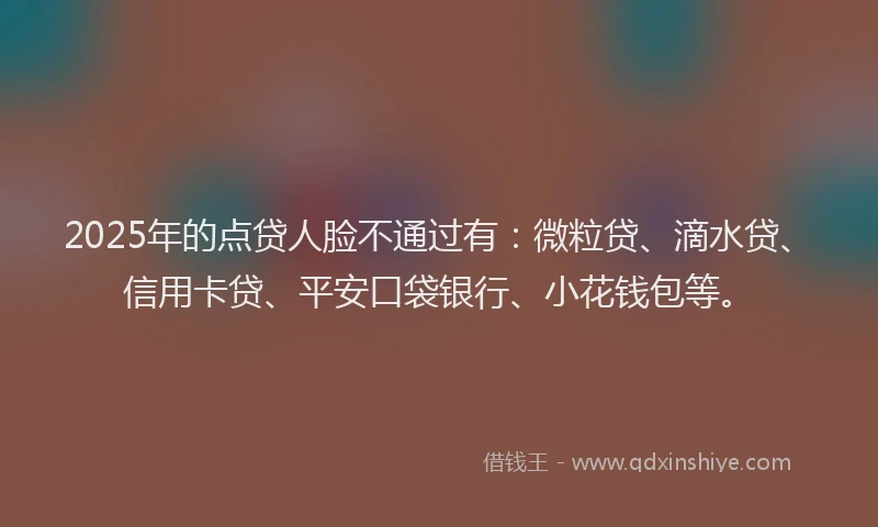 2025年的点贷人脸不通过有：微粒贷、滴水贷、信用卡贷、平安口袋银行、小花钱包等。