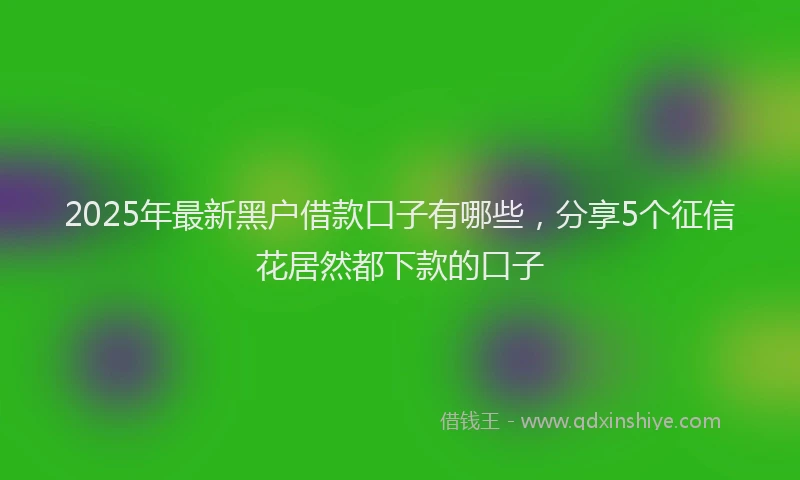 2025年最新黑户借款口子有哪些，分享5个征信花居然都下款的口子