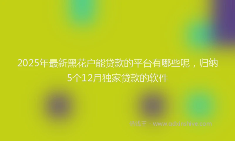 2025年最新黑花户能贷款的平台有哪些呢，归纳5个12月独家贷款的软件