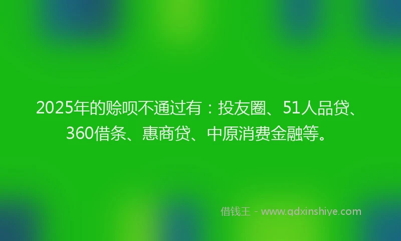 2025年的赊呗不通过有：投友圈、51人品贷、360借条、惠商贷、中原消费金融等。