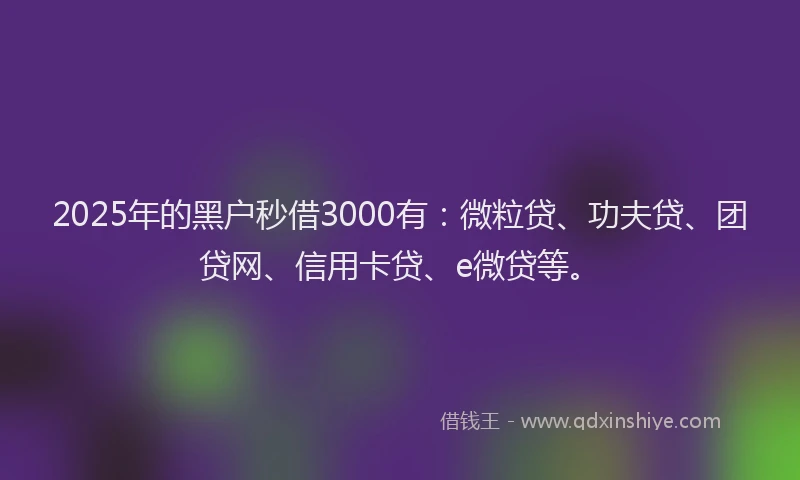 2025年的黑户秒借3000有：微粒贷、功夫贷、团贷网、信用卡贷、e微贷等。