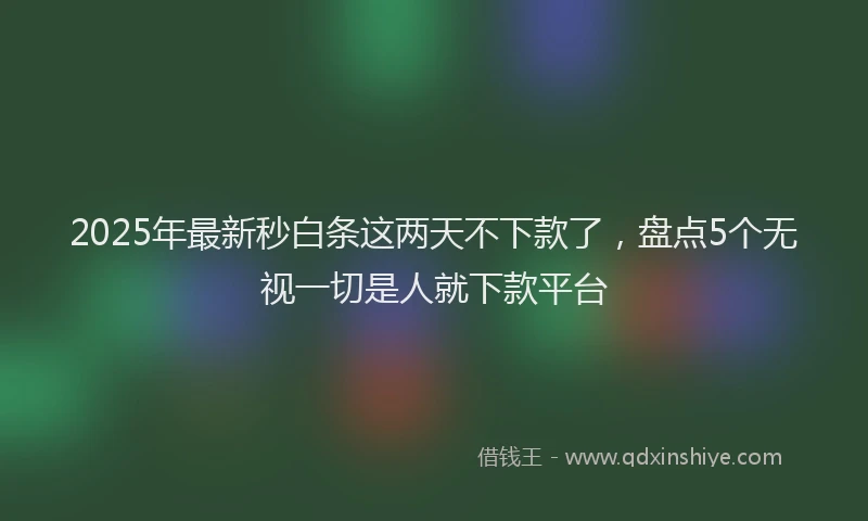 2025年最新秒白条这两天不下款了，盘点5个无视一切是人就下款平台