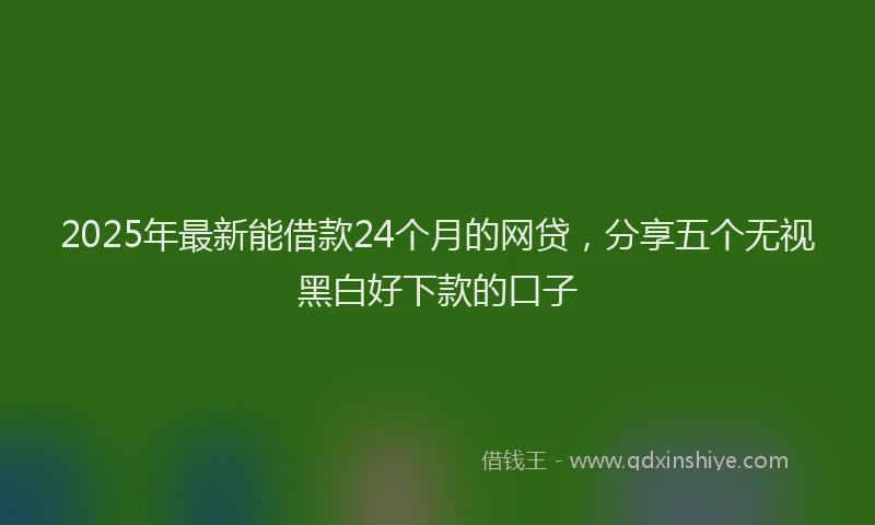 2025年最新能借款24个月的网贷，分享五个无视黑白好下款的口子