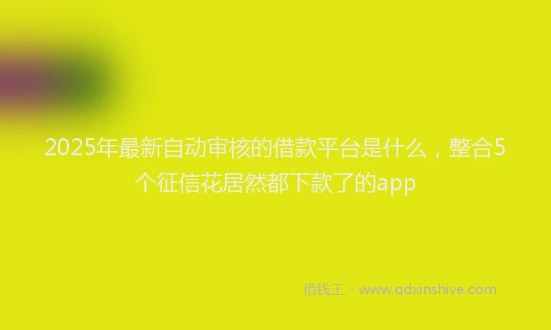 2025年最新自动审核的借款平台是什么，整合5个征信花居然都下款了的app