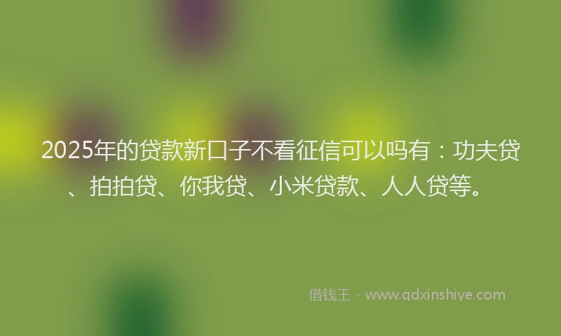 2025年的贷款新口子不看征信可以吗有：功夫贷、拍拍贷、你我贷、小米贷款、人人贷等。