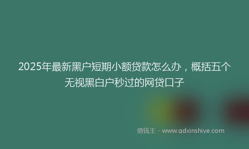 2025年最新黑户短期小额贷款怎么办，概括五个无视黑白户秒过的网贷口子