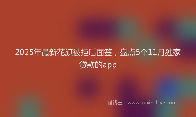 2025年最新花旗被拒后面签，盘点5个11月独家贷款的app