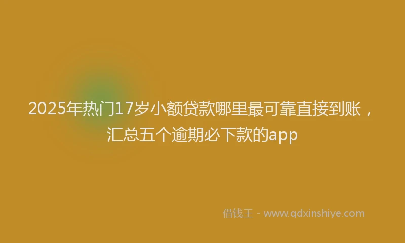 2025年热门17岁小额贷款哪里最可靠直接到账，汇总五个逾期必下款的app