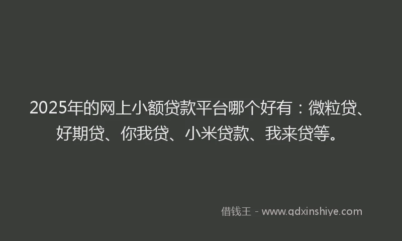 2025年的网上小额贷款平台哪个好有：微粒贷、好期贷、你我贷、小米贷款、我来贷等。