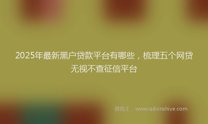 2025年最新黑户贷款平台有哪些，梳理五个网贷无视不查征信平台