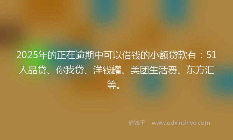 2025年的正在逾期中可以借钱的小额贷款有：51人品贷、你我贷、洋钱罐、美团生活费、东方汇等。