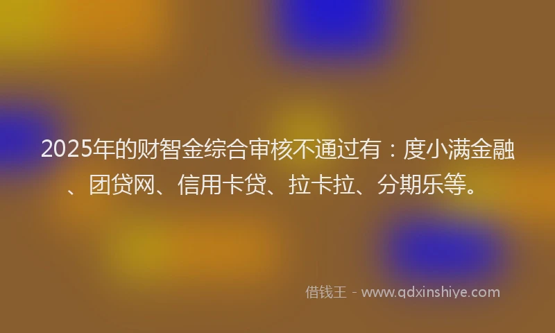 2025年的财智金综合审核不通过有：度小满金融、团贷网、信用卡贷、拉卡拉、分期乐等。