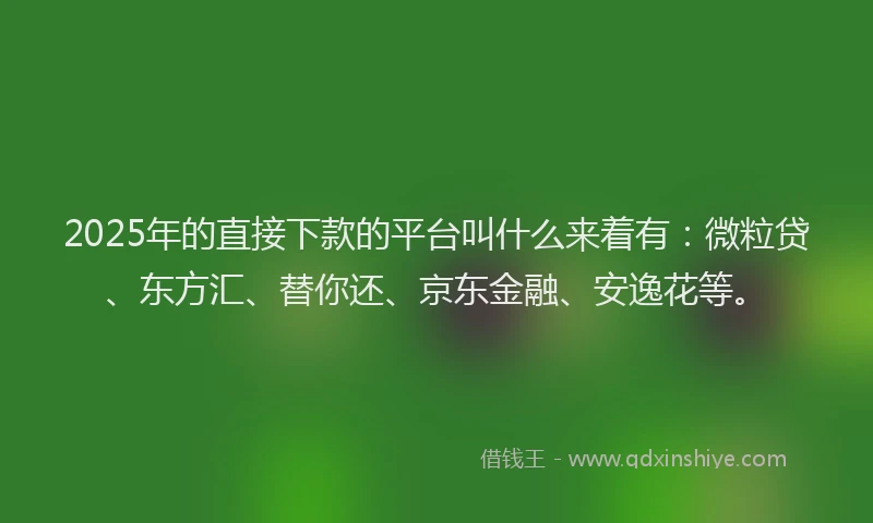 2025年的直接下款的平台叫什么来着有：微粒贷、东方汇、替你还、京东金融、安逸花等。
