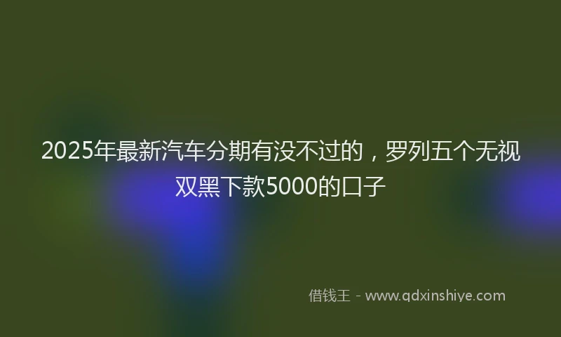 2025年最新汽车分期有没不过的，罗列五个无视双黑下款5000的口子