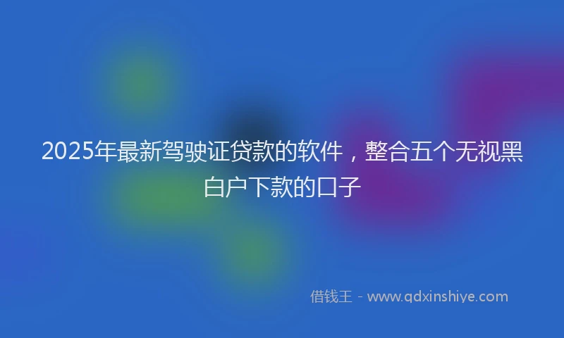 2025年最新驾驶证贷款的软件，整合五个无视黑白户下款的口子