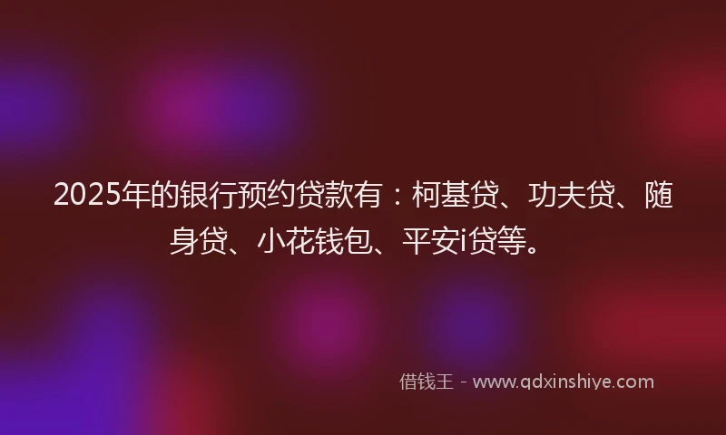2025年的银行预约贷款有：柯基贷、功夫贷、随身贷、小花钱包、平安i贷等。