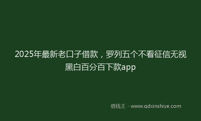 2025年最新老口子借款，罗列五个不看征信无视黑白百分百下款app