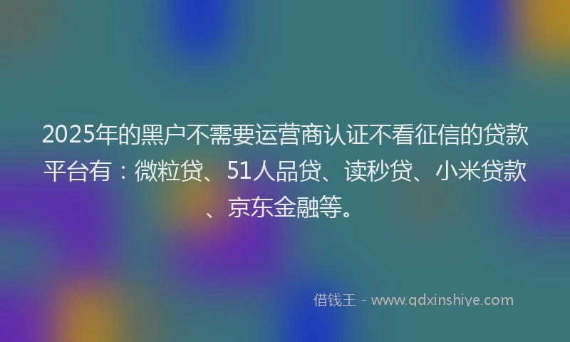 2025年的黑户不需要运营商认证不看征信的贷款平台有：微粒贷、51人品贷、读秒贷、小米贷款、京东金融等。