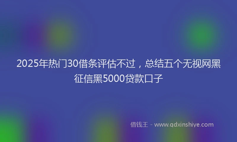 2025年热门30借条评估不过，总结五个无视网黑征信黑5000贷款口子