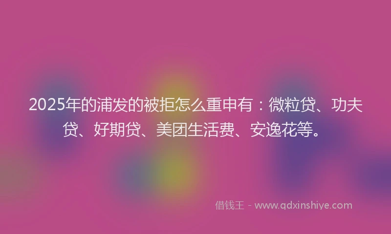 2025年的浦发的被拒怎么重申有：微粒贷、功夫贷、好期贷、美团生活费、安逸花等。