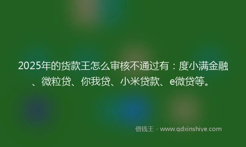2025年的货款王怎么审核不通过有：度小满金融、微粒贷、你我贷、小米贷款、e微贷等。