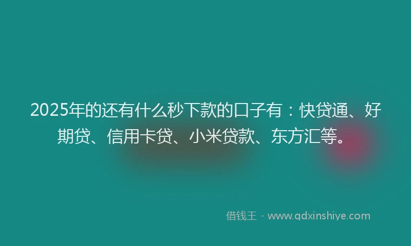 2025年的还有什么秒下款的口子有：快贷通、好期贷、信用卡贷、小米贷款、东方汇等。