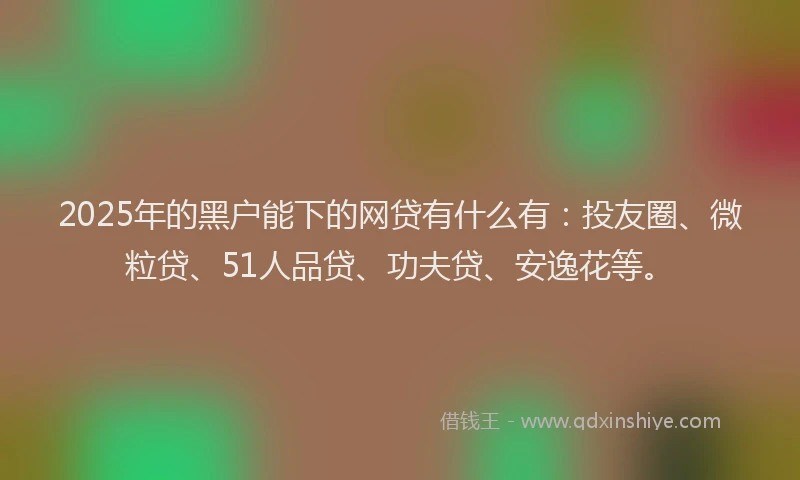 2025年的黑户能下的网贷有什么有：投友圈、微粒贷、51人品贷、功夫贷、安逸花等。