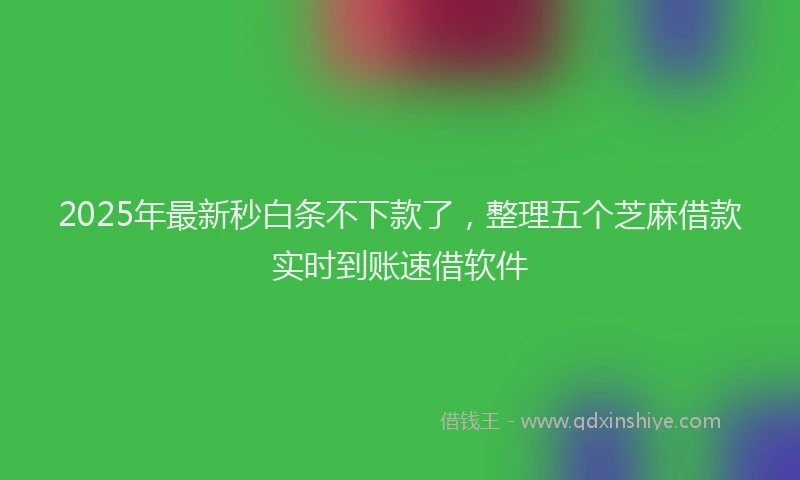 2025年最新秒白条不下款了，整理五个芝麻借款实时到账速借软件